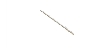 Bamboo stick