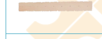 Wood strip